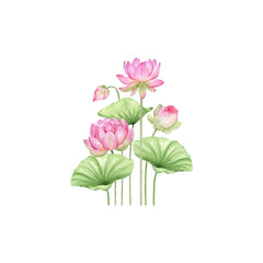 Pink Lotus #1 Wall Sticker