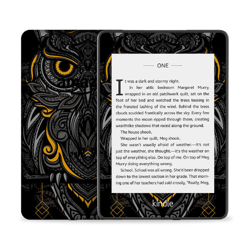 Kindle Classic Owl Skin