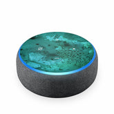 Echodot Black Carbon Skin