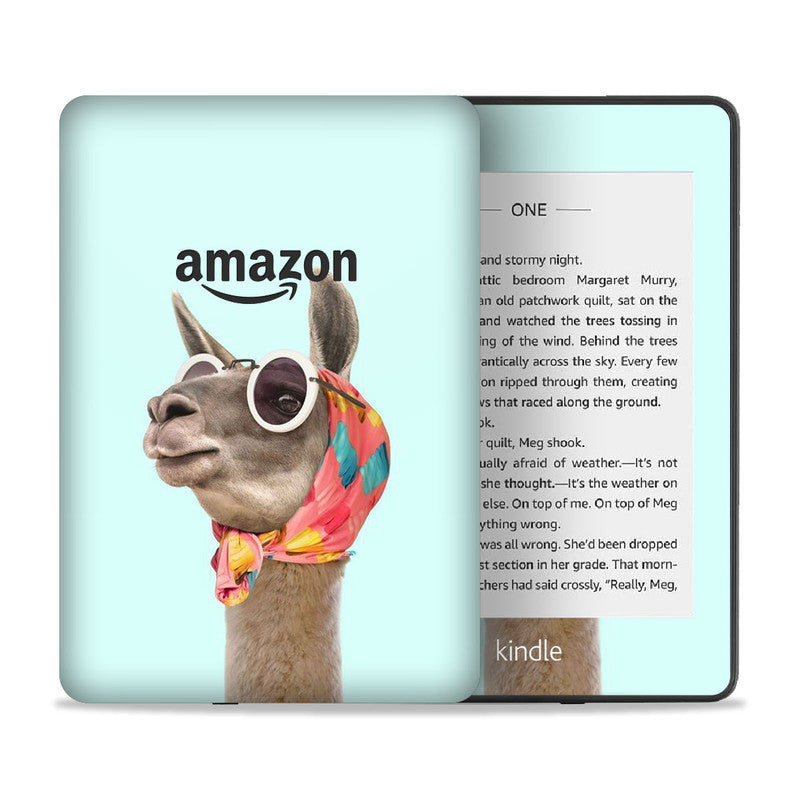 Kindle Anime Abstract Skin Main image