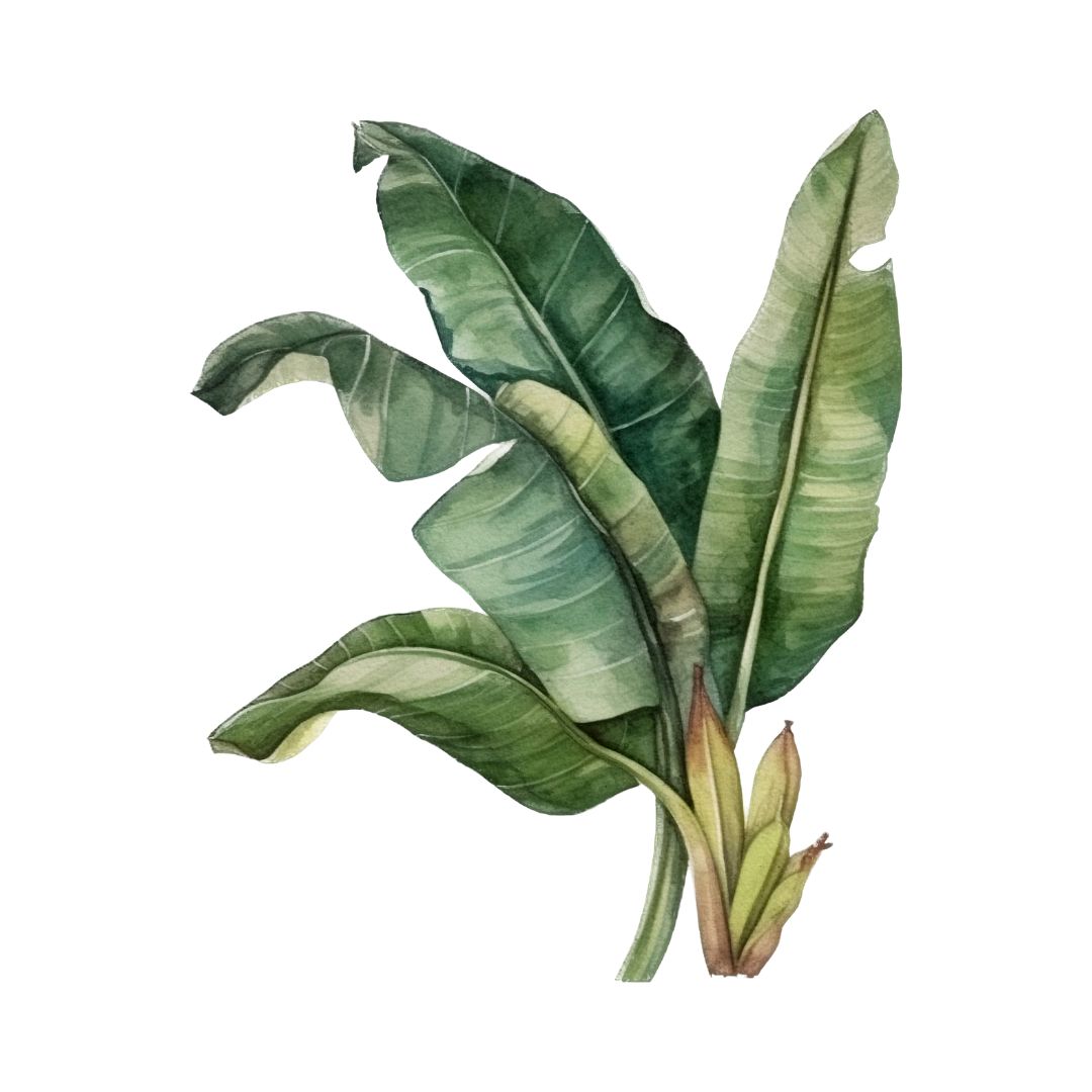 Kerala Vibes Wall Sticker Secondary image