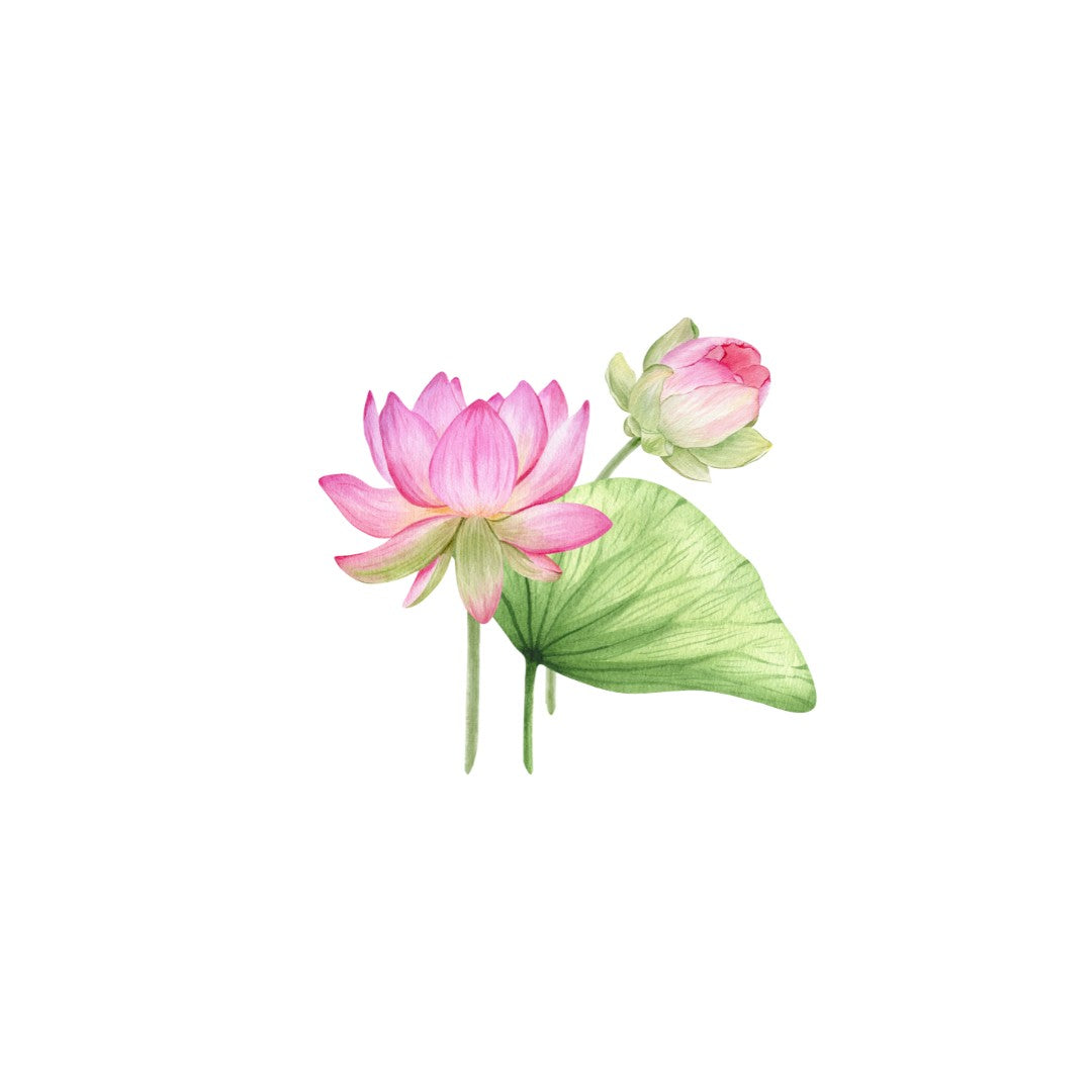 Pink Lotus #2 Wall Sticker Secondary image