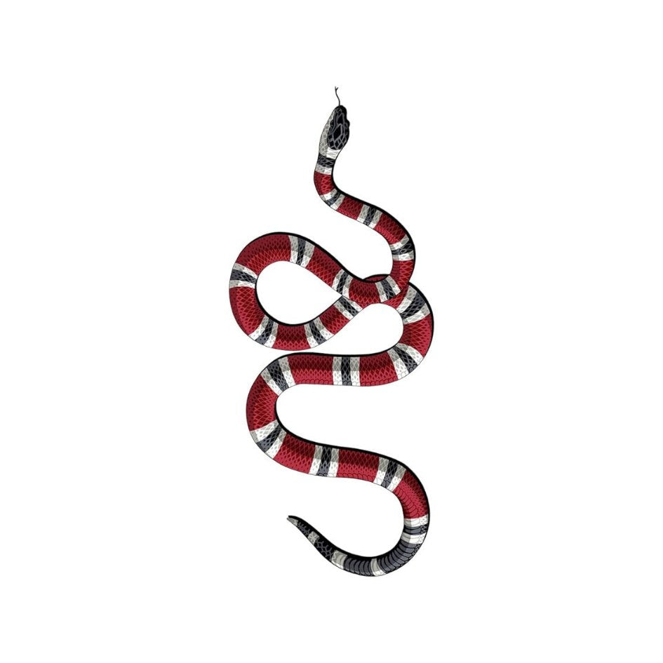 Snake Vinyl Car Stickers - 5 x 5 ft Secondary image