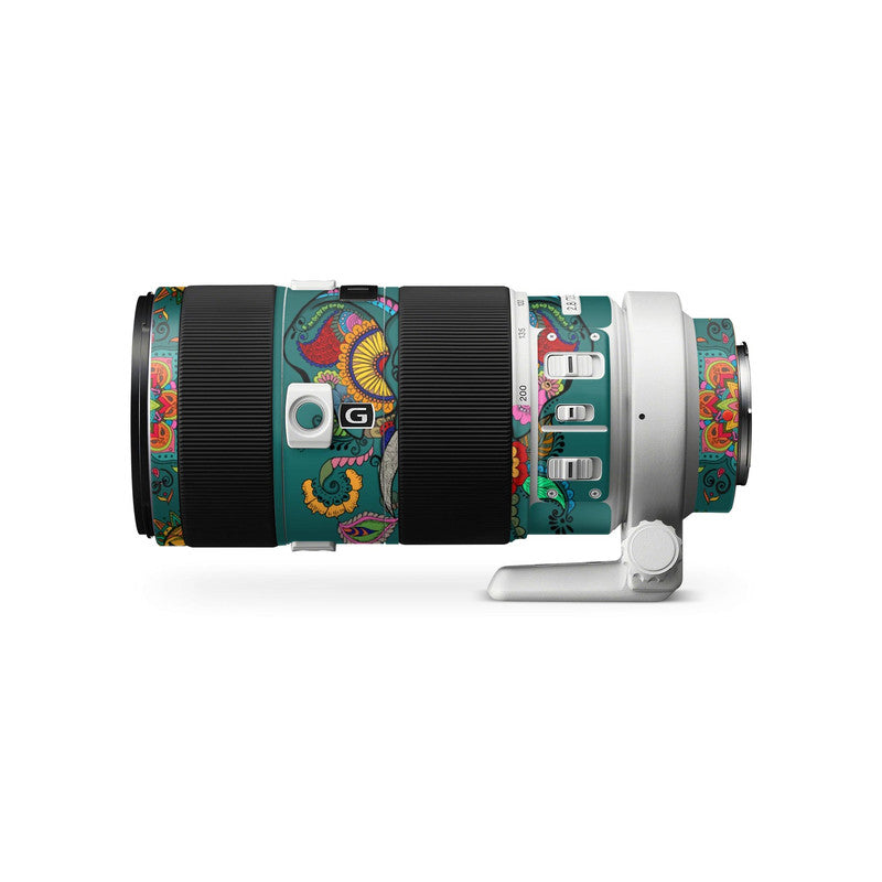 Canon EF-S 55-250mm f4-5.6 IS STM Lens Skins & Wraps Main image