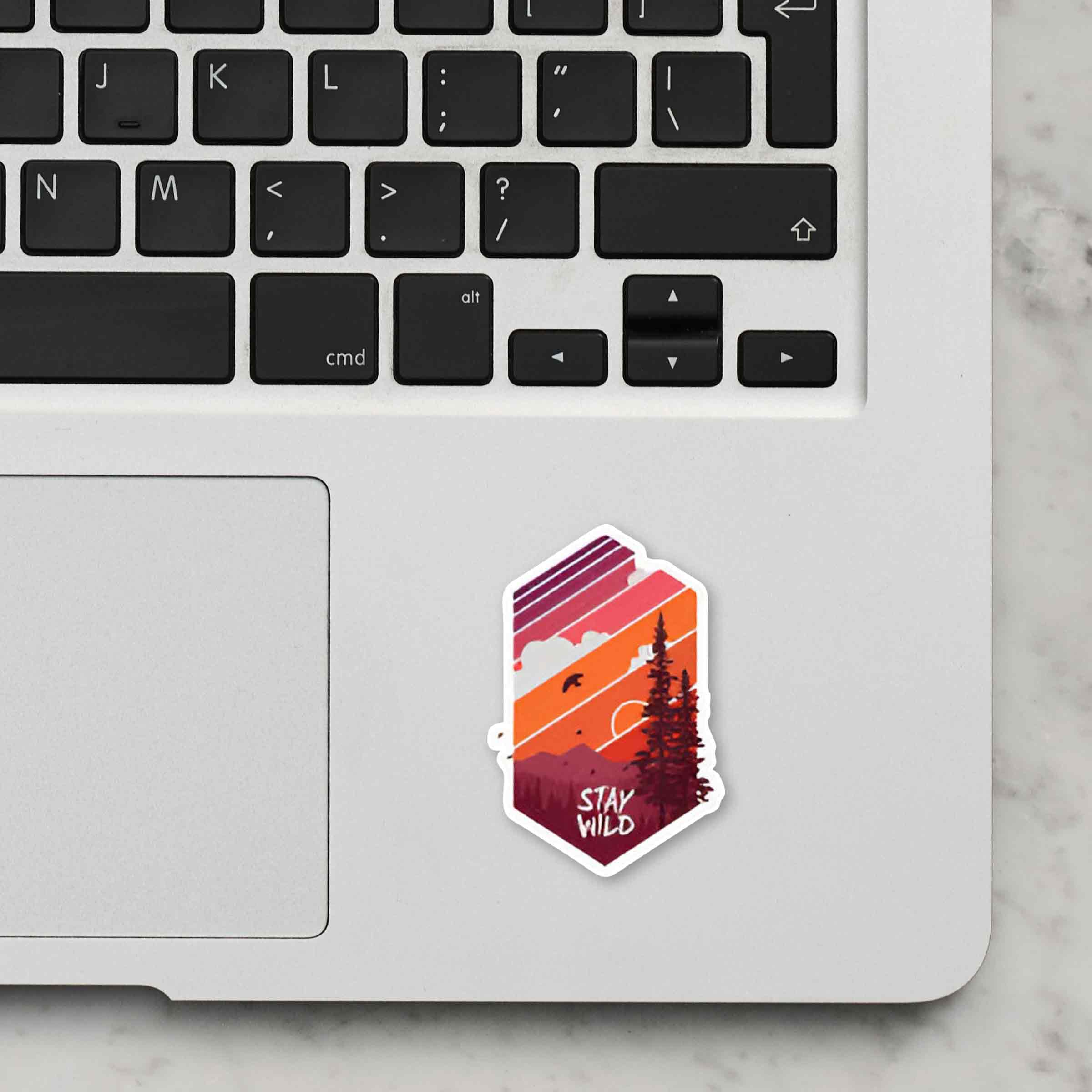 Laptop Stickers India