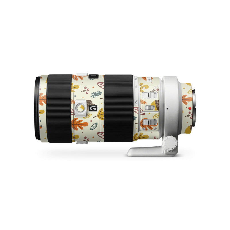 Canon ef-s 18-135 nano usm lens Skins & Wraps Main image