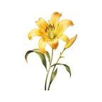 Yellow Lily Wall Sticker