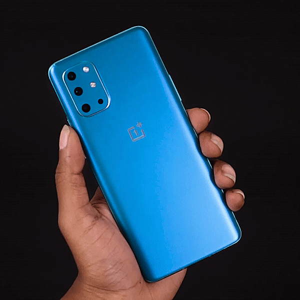 Caribbean Chameleon Main image