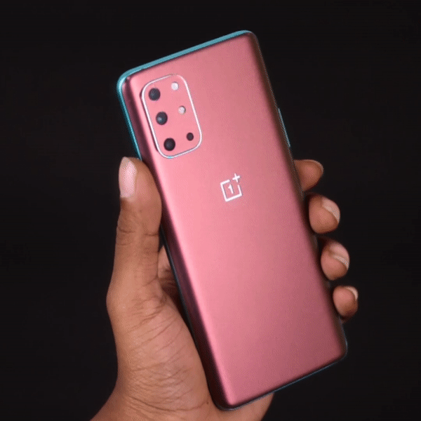 Bronze Chameleon Main image